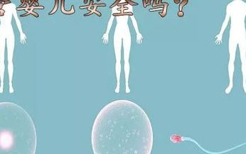 试管备孕期间吃什么好