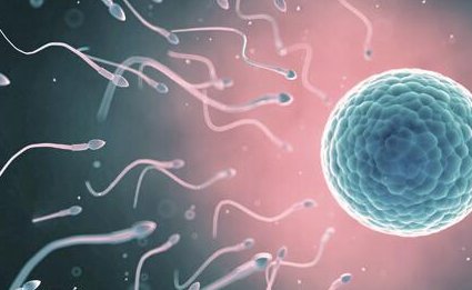 做了结扎手术可以在敦化市试管医院做试管婴儿吗？费用是多少