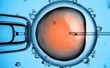 试管婴儿AMH值最低不少于1.2！促排只需3万元！