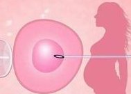 武警广东省总队医院做三代试管婴儿成功率高不高？什么因素可以影响到试管成功率