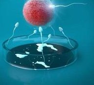 北京家恩德运第三代试管比公立医院高吗？