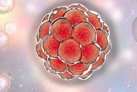 长沙做第三代试管婴儿技术好吗？