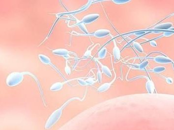 有移植囊胚第十天试纸白板但验血成功逆袭的姐妹吗？